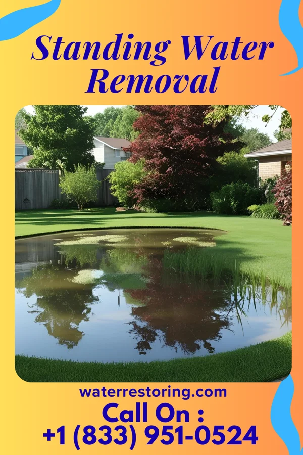 Standing Water Removal in North Key Largo, FL
